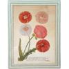 Image 4 : FOUR FRAMED FLORAL POLYCHROME PRINTS