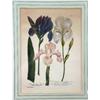 Image 5 : FOUR FRAMED FLORAL POLYCHROME PRINTS