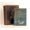 Image 1 : STANLEY IN AFRICA: THE WONDERFUL DISCOVERIES AND THRILLING ADVENTURES OF THE GREAT AFRICAN EXPLORER 