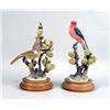 Image 1 : A PAIR OF DOROTHY DOUGHTY VERMILION FLYCATCHERS