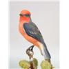 Image 3 : A PAIR OF DOROTHY DOUGHTY VERMILION FLYCATCHERS