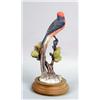 Image 5 : A PAIR OF DOROTHY DOUGHTY VERMILION FLYCATCHERS
