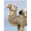 Image 3 : AN UNGLAZED TANG-STYLE CAMEL