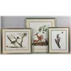 Image 1 : SIX POLYCHROME WILDLIFE PRINTS BY RAY HARM