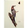 Image 2 : SIX POLYCHROME WILDLIFE PRINTS BY RAY HARM