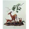 Image 4 : SIX POLYCHROME WILDLIFE PRINTS BY RAY HARM