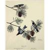 Image 7 : SIX POLYCHROME WILDLIFE PRINTS BY RAY HARM