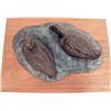 Image 1 : A LIMITED EDITION BRONZE SCULPTURE, "MALLARDS SWIMMING", BY WILLIAM H. TURNER