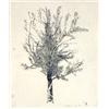 Image 2 : TREE, A LIMITED EDITION LITHOGRAPH BY LEONARD BASKIN