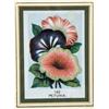 Image 2 : A PAIR OF FRAMED STEEL-ENGRAVED BOTANICAL SEED LABELS