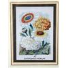Image 3 : A PAIR OF FRAMED STEEL-ENGRAVED BOTANICAL SEED LABELS