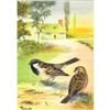 Image 1 : 1920's Sparrow Color Lithograph Print