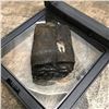 Image 1 : Prehsitoric Horse Tooth Fossil Display