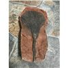 Image 1 : Rare Perhistoric Crinoid Fossil