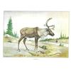 Image 2 : 1920's Caribou Color Lithograph Print