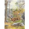 Image 1 : 1920's Virginia Deer Color Lithograph Print