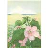 Image 1 : 1920's Swamp Rose-Mallow Color Lithograph Print