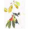 Image 1 : c1946 Audubon Print, #48 Cerulean Warbler