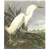 Image 1 : c1950 Audubon Print, Snowy Egret