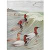 Image 1 : 1936 Pearson Birds, ( Redhead, Canvasback )