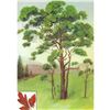 Image 1 : 1920's Sassafras Color Lithograph Print