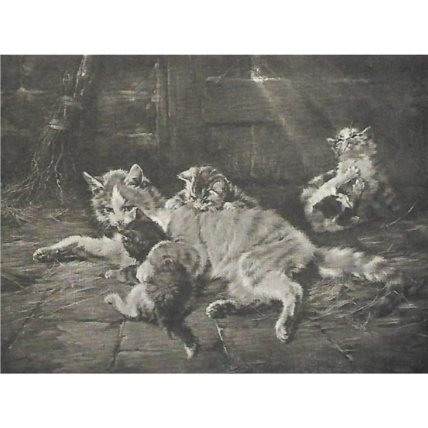 Early 1900's Half-tone Print, #500 The Cat Family