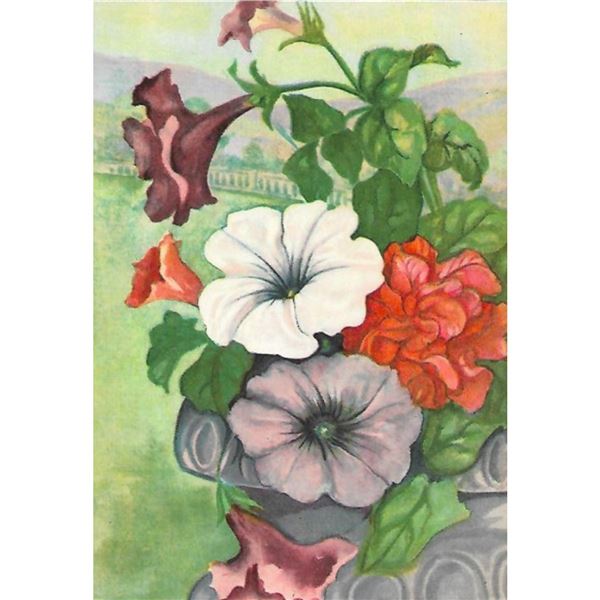 1920's Petunia Color Lithograph Print