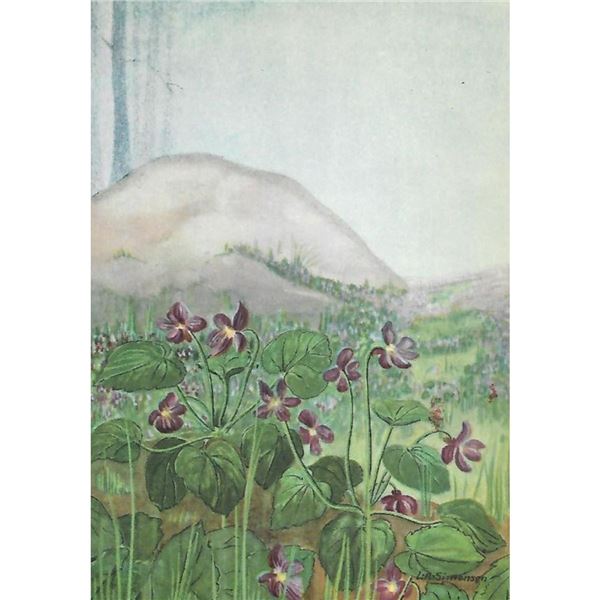 1920's Sweet Violet Color Lithograph Print