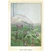 Image 2 : 1920's Sweet Violet Color Lithograph Print