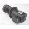 Image 2 : Teral #LSW 20TL0.25 Pump