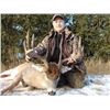 Image 2 : NORTH STAR OUTFITTING: 10-Day Moose and Whitetail Hunt for One Hunter and One Non-Hunter in Alberta,