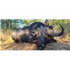 Image 2 : BUFFALO RANGE SAFARIS: 10-Day Cape Buffalo Hunt for One Hunter in Zimbabwe - Includes Trophy Fee