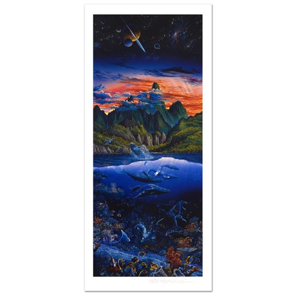 Oasis by Nelson, Robert Lyn by Nelson, Robert Lyn