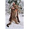 Image 2 : Alberta: 8 Day Exclusive Trophy Mountain Lion with hounds for 1 Hunter