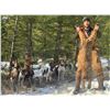 Image 5 : Alberta: 8 Day Exclusive Trophy Mountain Lion with hounds for 1 Hunter