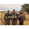 Image 2 : Argentina: 5 Day 6 Night High Volume Duck & Dove Hunt for 3 Hunters