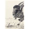Image 2 : Original Pen Ink Painting of Buffalo