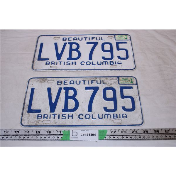 Beautiful British Columbia 1974 License Plates