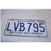 Image 3 : Beautiful British Columbia 1974 License Plates