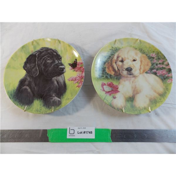 (2) Puppies collectors plates