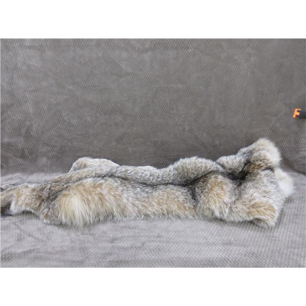 Lynx Pelt Tanned