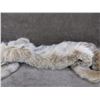 Image 4 : Lynx Pelt Tanned