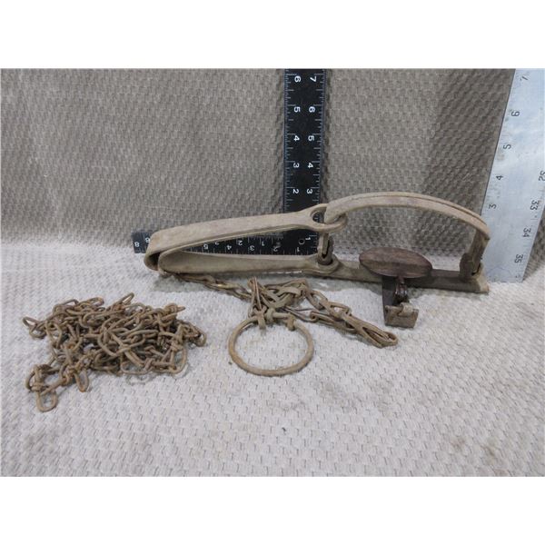 Oneida Single Spring Trap