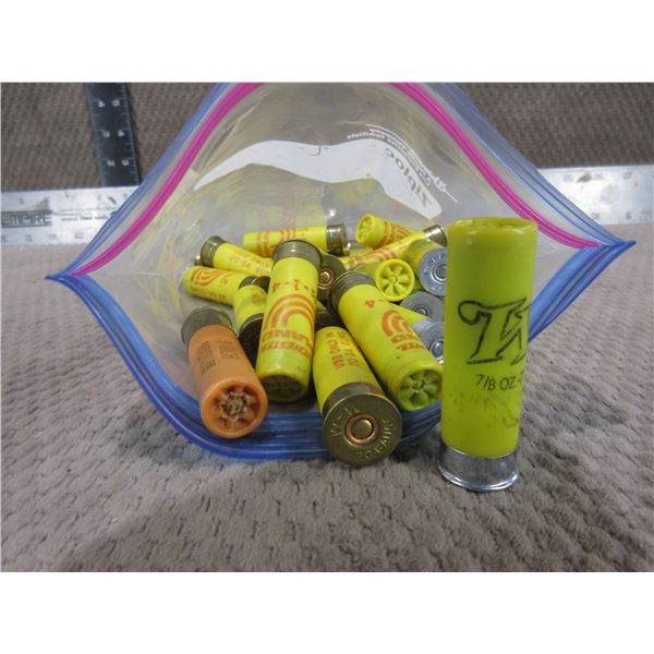 20 Guage Shotgun Shells - Bag of 24 Assorted