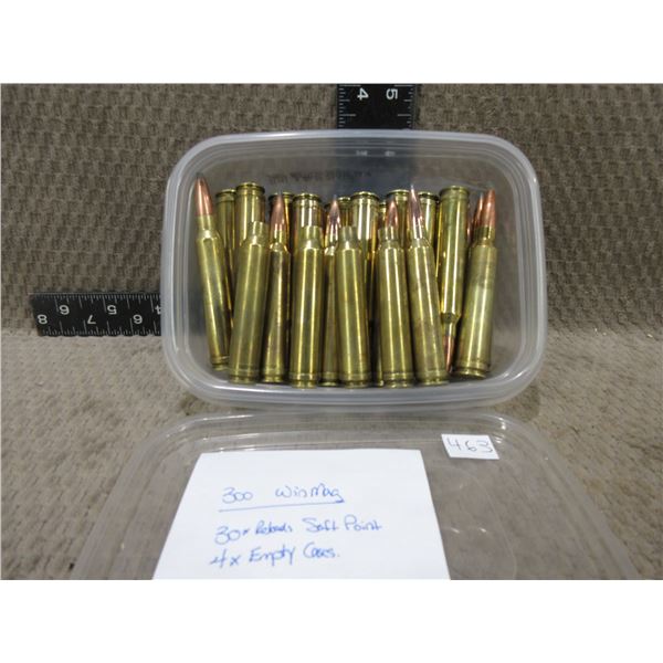 300 Win. Mag SP - 30 Reloads, 4 Empty Brass