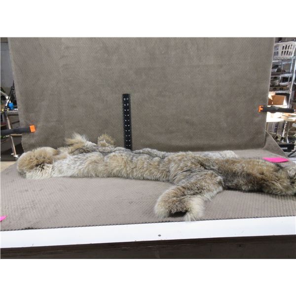 Lynx Pelt Tanned