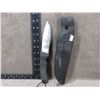 Image 1 : Fixed Blade Hunting Knife - CRKT Partner 2003 Taiwan