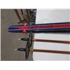 Image 2 : Vintage Germina Cross Country Skis & Poles
