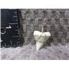 Image 1 : Sharks Tooth (Pendant)