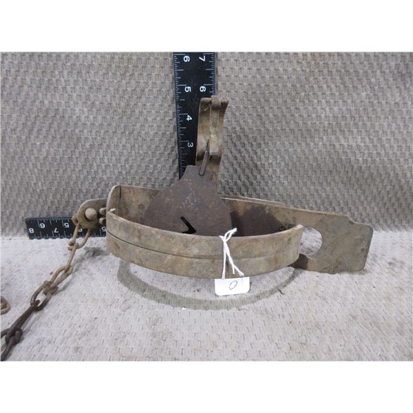 Oneida Victor Single Spring Trap No. 4